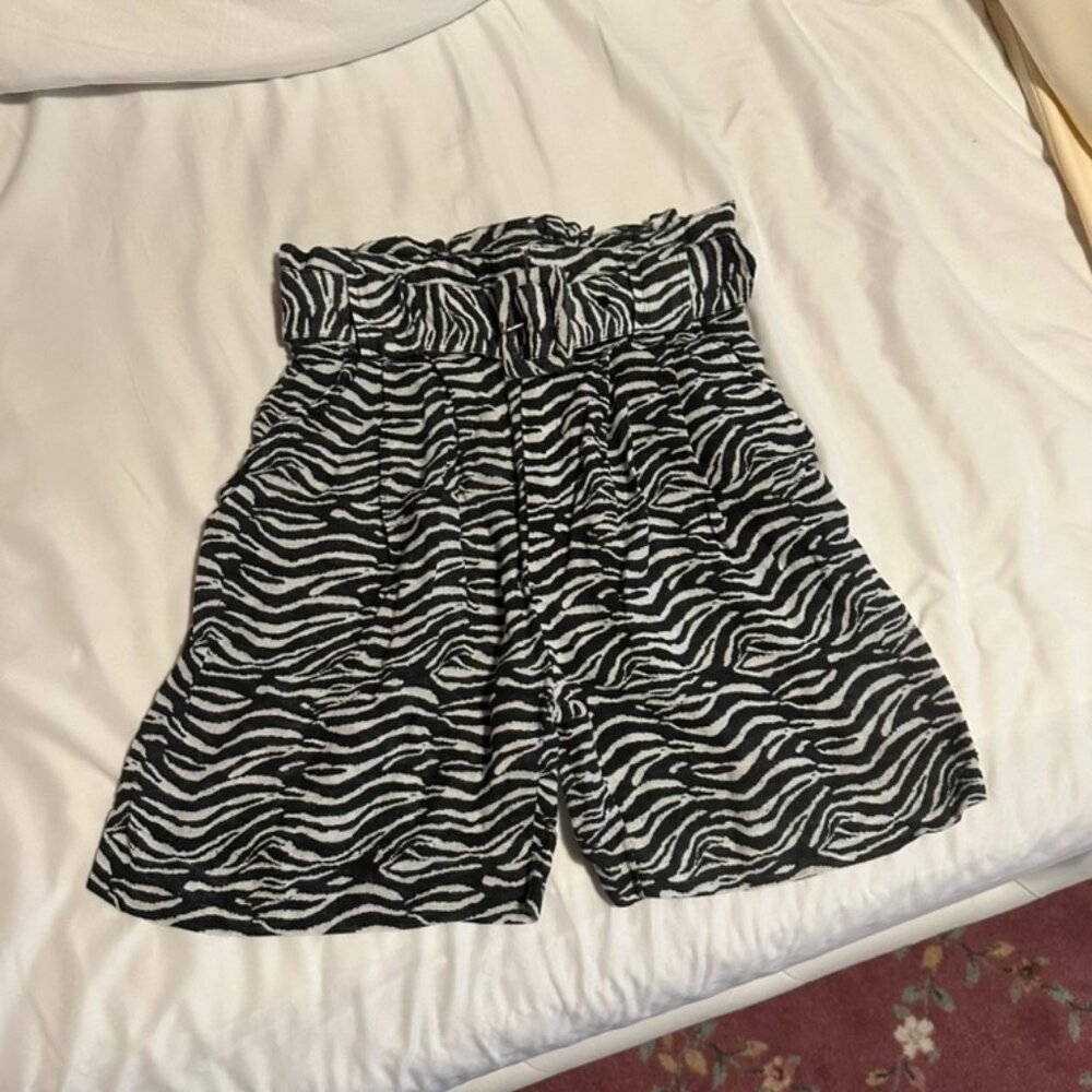 Solid And Striped Zebra Print Shorts With Belt - image 3